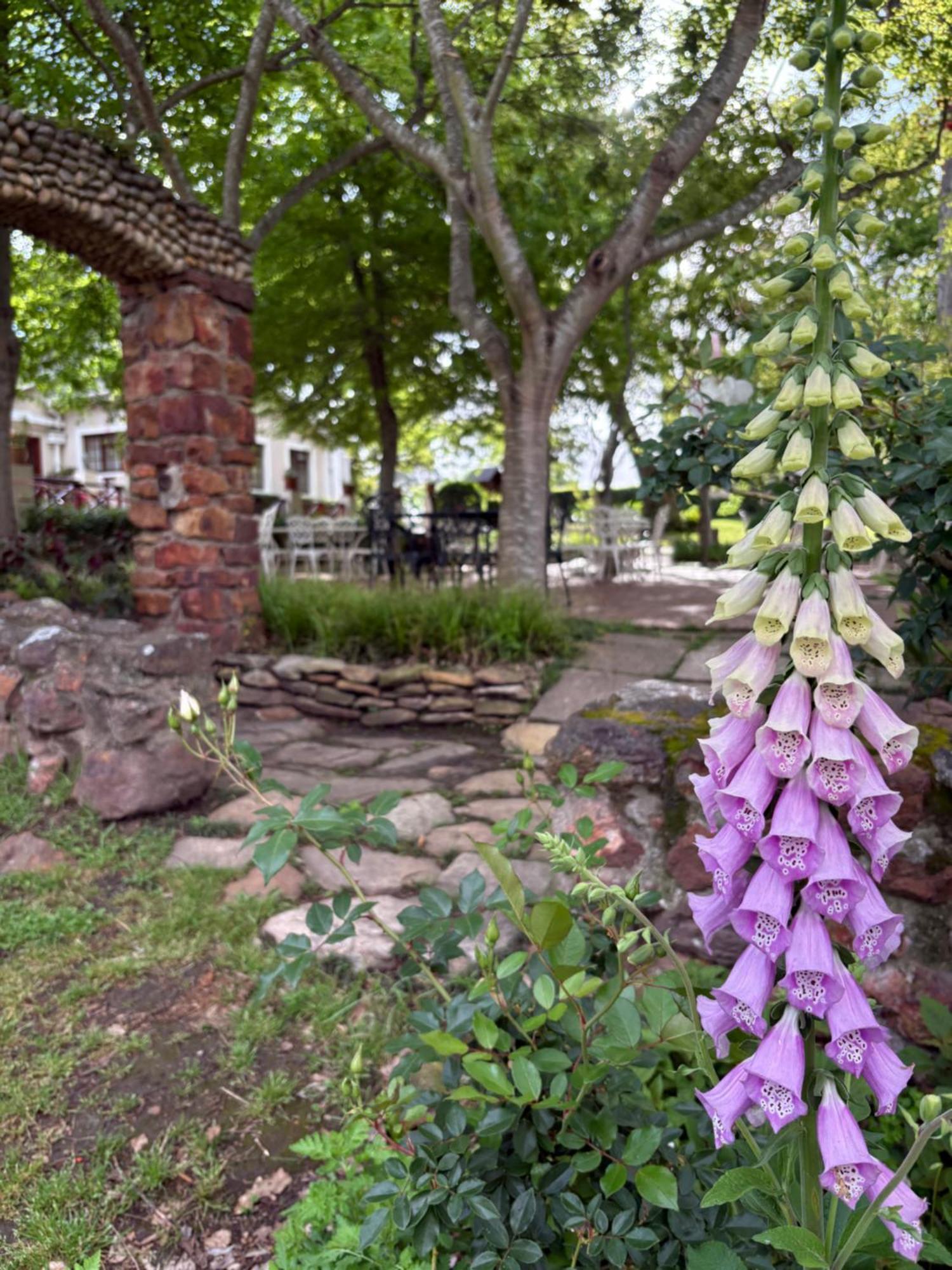 Eight Bells Mountain Inn Ruiterbos Екстериор снимка